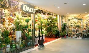 The reason to why singaporeans send flowers today is also very different than before. Daco Artificial Plants In Singapore Shopsinsg