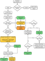 Image result for Ventricular Fibrillation Management in the Adult