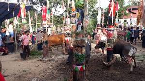 Perkara ini boleh diandaikan oleh dukun melalui mimpi, dimana ramalan akan diberi oleh dukun tersebut. Suku Dayak Asal Usul Ciri Kebudayaan Dan Sejarah