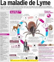 Ma page est destinée à permettre aux personnes открыть страницу «maladie de lyme» на facebook. Health Infographic La Maladie De Lyme Infographicnow Com Your Number One Source For Daily Infographics Visual Creativity