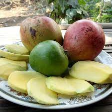 We did not find results for: Indian Mango And Apple Mango Steemit