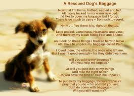 A Rescued Dog S Baggage Rescue Dogs Dog Quotes Dogs