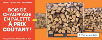 Bois De Chauffage A Prix Coutant Chez Castorama