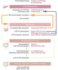 Image result for Chronic Diarrhea