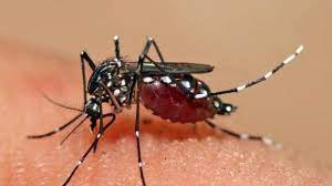 Bekas gigitan nyamuk / serangga pada kulit bayi biasanya akan menimbulkan bentol dan bintik merah pada permukaan kulitnya. Tahukah Anda Ini Cara Sederhana Membedakan Bintik Merah Akibat Gigitan Nyamuk Atau Pendarahan Dbd Tribun Kaltim