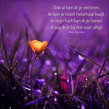 Martin Gijzemijter S Photos Martin Gijzemijter Troostende Woorden Gedichten Teksten