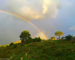 It was recognized as a public interest ngo in 1995 by presidential decree n7541. Today Rainbow Arcenciel Lebanon In A Picture