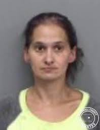 ROBB, HEATHER ROSE White Female 09/26/2025 40 Marshall County Sheriff's  Office Warrant: Bench warrant FECR102093 issued by MARSHALL COUNTY, IA;  Arrest Date 09/26/2025; Bond