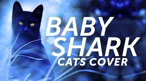 Cats Sing Baby Shark Cover Parody Version Youtube