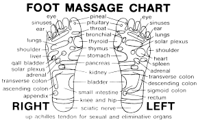 free printable reflexology charts ear diagram printable