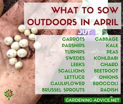 Check spelling or type a new query. April Gardening Tips