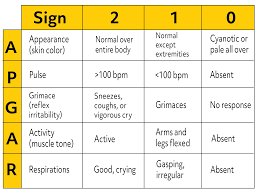 Image result for APGAR Score