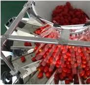 Multifunction Multihead Weigher Packing Machine for Weighing ...