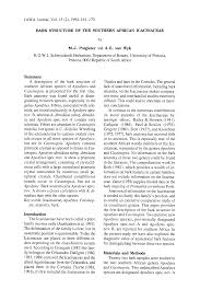 Image result for Cassinopsis tinifolia