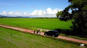 Drone Di Sawah Padi Kedah Youtube