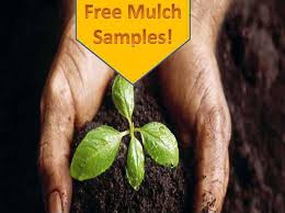 Check spelling or type a new query. Hinesville Refuels Mulch Program Coastal Courier
