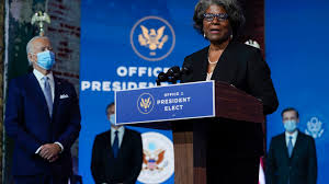 Image result for Bidens diversa