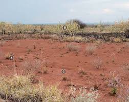Kitchen with granite counters, stove, fridge and microwave. Buffel Grass Pastures In The Kimberley Western Australia Agriculture And Food