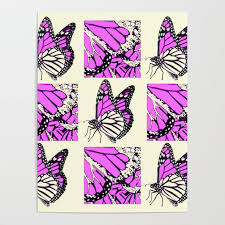 Decorative Fuchsia Pink Butterfly Identification Chart Poster By Sharlesart