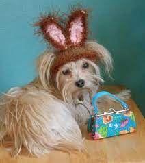 Brown Dog Easter Bunny Ears Bunny Hat For Cat Pet Bunny Etsy Mascotas Peluditos Perros