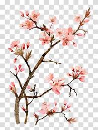 Pin On Arte De Flor De Cerezo