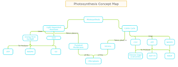We did not find results for: Photosynthesis Flowchart Explore The Secret Of Nature