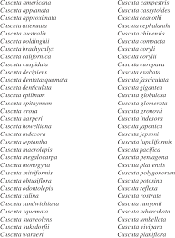 Image result for Cuscuta cassytoides