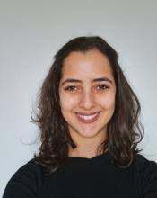 IADR Kulzer Travel Award