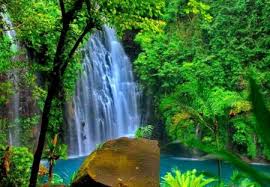 Check spelling or type a new query. Forest Fall Waterfalls Nature Background Wallpapers On Desktop Nexus Image 1157700