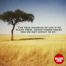 Enjoy reading and share 57 famous quotes about plantations with everyone. The True Meaning Of Life Is To Plant Trees Under Whose Shade You Do Not Expect To Sit Nelson Henderson Passiton Com