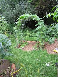 In this video i'll show you three ways to create a fence panel/utility panel trellis with full details on how i'm building the trellises for our new garden. Garden Structures Forum Cattle Panel Trellis Arch Garden Org
