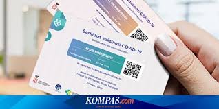 Semua untuk laporan terkait sertifikat vaksin di aplikasi pedulilindungi silakan hubungi 119 ex.9 atau email ke. Lakukan Ini Jika Sertifikat Vaksin Covid 19 Belum Muncul Di Pedulilindungi Id Halaman All Kompas Com