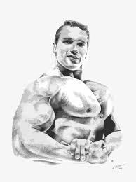The golden age of bodybuilding made arnold schwarzenegger a global icon. Arnold Schwarzenegger Arnold Schwarzenegger Bodybuilding Drawing Transparent Png 3106x4000 Free Download On Nicepng