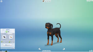 Your sims will play with their pets … The Sims 4 Cats And Dogs Making A Mixed Breed