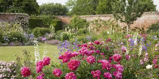 For the planting, dig a nice hole. How To Plant Flowers A Guide To Starting Your Garden