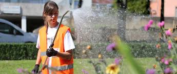 Un chantier de jeunes est un rassemblement de jeunes bénévoles ayant pour but la restauration du patrimoine bâti ou la construction de bâtiments. Chantiers Jeunes Des Jobs D Ete Pour Les 16 17 Ans M L Info De Mulhouse