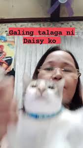 CATS and DOGS RESCUE PHILIPPINES