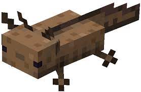 Kinda like my summer one. Axolotl Official Minecraft Wiki