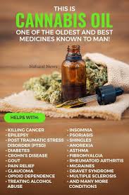 Pin On Cannabis Oil