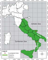 Image result for Stachys aculeolata