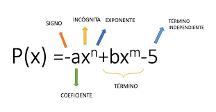 Alguém pode explicar a segunda linha não entendi como: Observe O Polinomio P X X X 3 X 2 Quais Sao As Raizes Desse Polinomio A 6 1 E 1 B Brainly Com Br