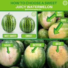 How can you tell when your watermelon is ripe? 13 Best Watermelon Ripeness Ideas Watermelon Watermelon Ripeness Food Hacks