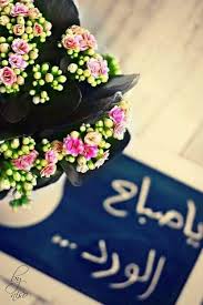 Check spelling or type a new query. ØµØ¨Ø§Ø­ Ø§Ù„ÙˆØ±Ø¯ ØµÙˆØ± ØµØ¨Ø§Ø­ Ø§Ù„ÙˆØ±ÙˆØ¯ ÙˆØ§Ù„Ø­Ø¨ ÙˆØ§Ù„Ø¬Ù…Ø§Ù„ ÙˆØ§Ù„Ø¹Ø³Ù„ Ø§Ø­Ù„ÙŠ ØµÙˆØ± ÙˆØ±Ø¯ Ù…ÙƒØªÙˆØ¨ Ø¹Ù„ÙŠÙ‡Ø§ ØµØ¨Ø§Ø­Ùƒ ÙˆØ±Ø¯ Good Morning Flowers Beautiful Morning Messages Good Morning Cards