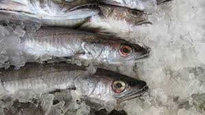 Permite comer especies de otros lugares o fuera de temporada, y tener. Congelar El Pescado No Basta Para Evitar El Anisakis Asi Debes Hacerlo