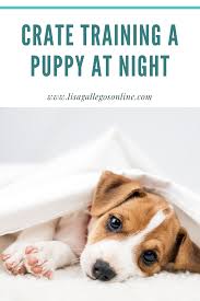 Crate Training A Puppy At Night Puppy Training Crate Training Puppy Crate Training
