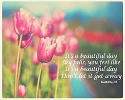 It S A Beautiful Day Don T Let It Get Away U2 Beautiful Day U2 Tulips Spring Tulips Skagit Valley Tulip Festival Spring Quotes