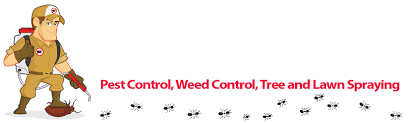 We only use industry approved products that are safe for the environment. Western Slope Pest Control Orchard Mesa Co