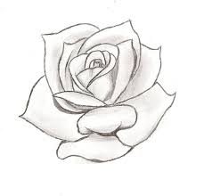 10 hermosos diseños para ti. Drawing Stencil Money Rose Drawing Outline
