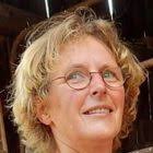 Gifeieren' blijken storm in een glas komkommerwater