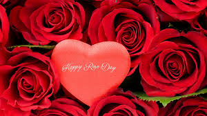 We hope it will make it easy to get the wallpapers you want. Happy Rose Day Love Wallpaper Novocom Top